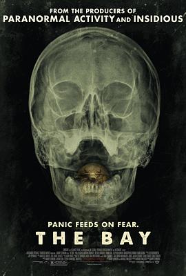 栖霞寺1937 封面图